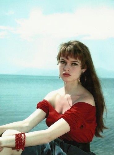 Brigitte bardot photo 18x24 - bb,