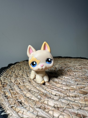 Littlest pet shop lps - littlest, #1447