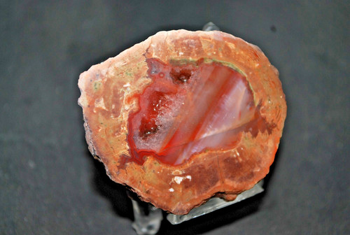 Agates fréjus - agates, var