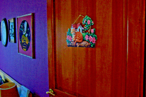 Chat maison sur - le, de