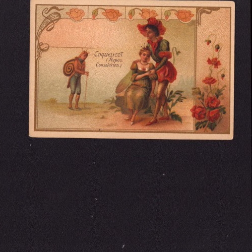 Lille chicoree belle - lille, (59)