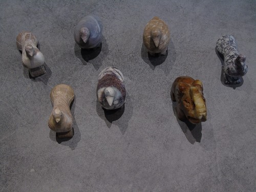 Lot oiseaux pigeons et - et, 1