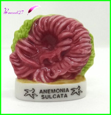 Feve Les coquillages Shell