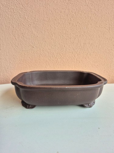 Pot bonsaï céramique - bonsaï,