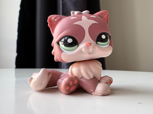 Petshop chat persan - , n°1761