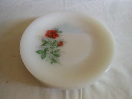 Assiettes plates arcopal - en,