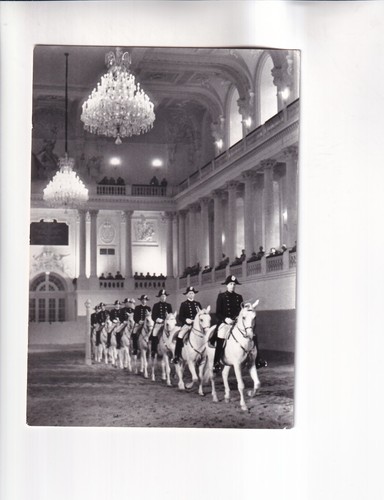 G684 carte postale vienne - g684),