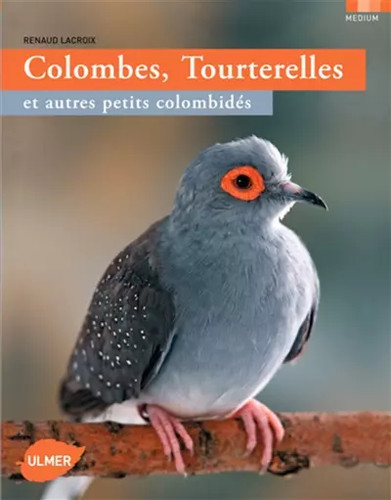 Colombes tourterelles et - tourterelles,