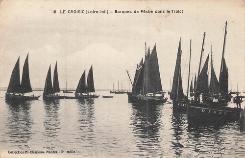 Croisic barque de - le, peche