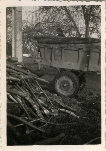 Photo ancienne vintage - ancienne,