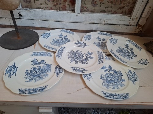 Assiettes plates terre de - terre,