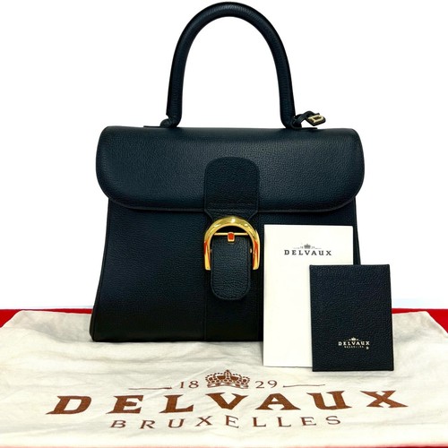 Delvaux brillon handbag - brillon,