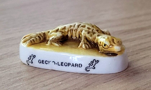 Fève gecko léopard - -,