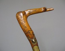 Canne De Marche De Montagne