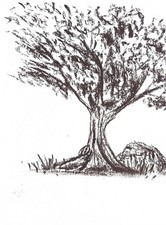 Illustration Originale Fusain