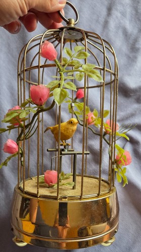Cage oiseau kitsch boîte - cage, à