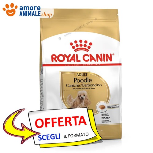 Royal canin chien - chien, adulte