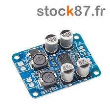 5321# TPA3118 amplificateur