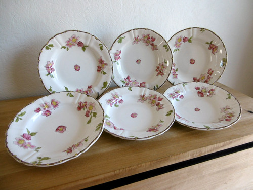Six assiettes creuses - six,