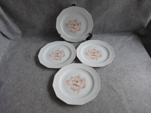 Assiettes plates porcelaine - 4,