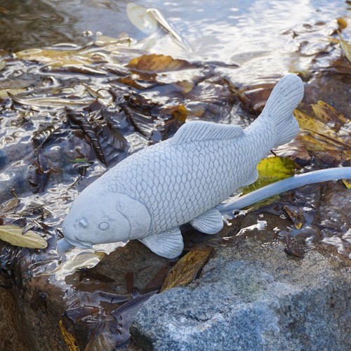 Poisson koï avec cours eau - cours, d'eau