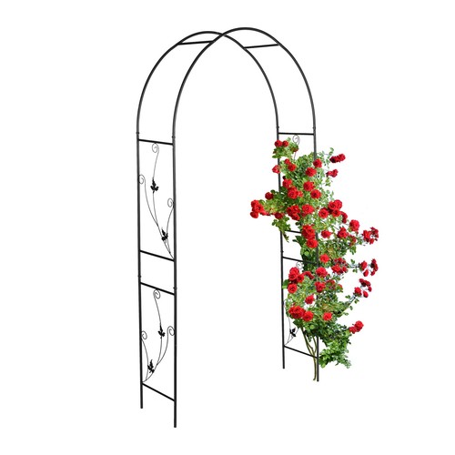 Arche rosier pergola - rosier,