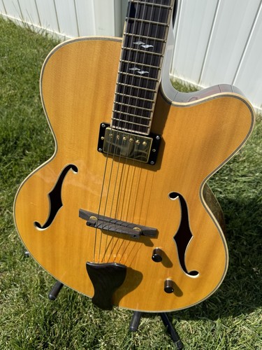 Yunzhi jazz box - yunzhi, archtop