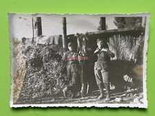 Photo, ww2, bunker de chevaux