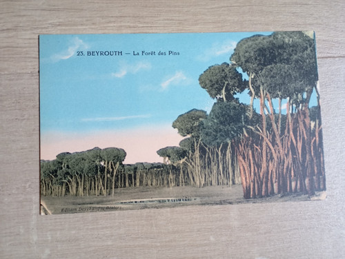 Cpa carte postale - carte,