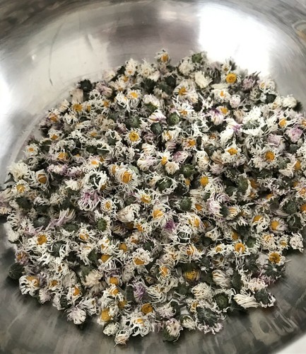Fleurs paquerettes - fleurs,