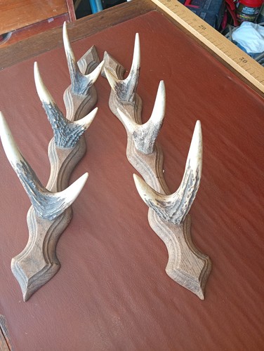 Lot portes fusil avec - fusil, ,,