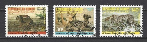 Animaux faune sauvage djibouti - faune,