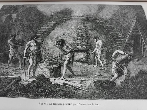 Figuier homme primitif 1873 - figuier, l'homme