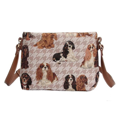 King charles cavalier - cavalier, spaniel