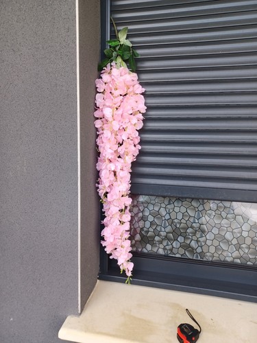 Guirlande vigne glycine