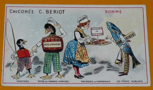 Chromo 1900 1914 chicoree - chromo,