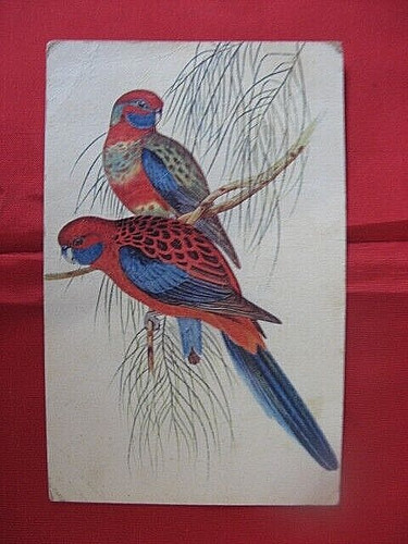 0663 postcard birds - "0663",