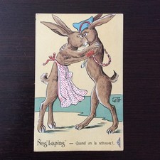 CPA Lapins Carte Postale