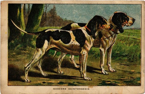 Cpa gascons saintongeois - cpa,