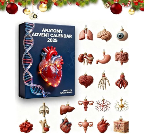 Calendrier avent 2025 - de, l'avent