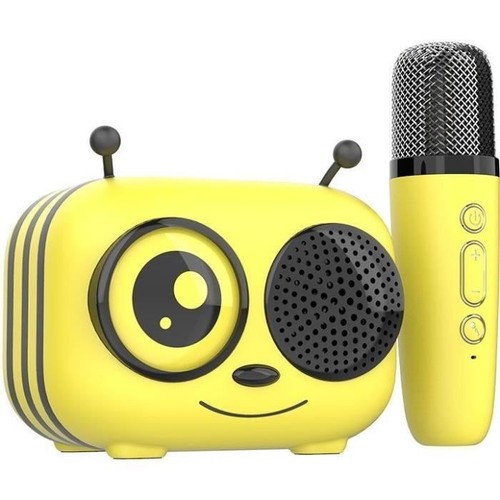 Kit karaoké enceinte - karaoké,