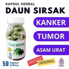 Feuilles de corossol Herbes biologiques naturelles épices fraîches pures hygi...