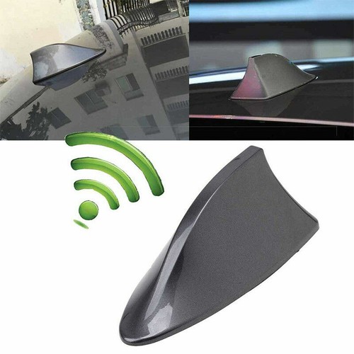 Universal car shark - shark,