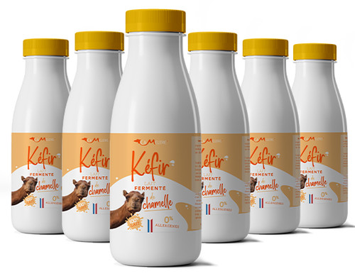 Lait chamelle fermenté - lait,