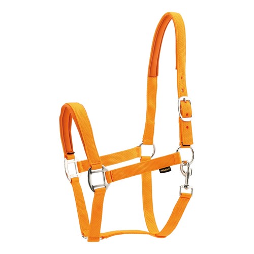 Harnais nylon pour - harnais, chevaux