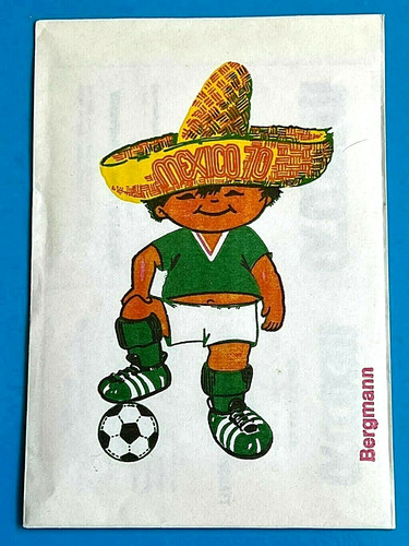 Mexico bergmann bag pouch - bag,