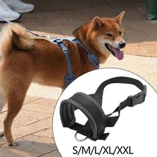Muselière pour chien