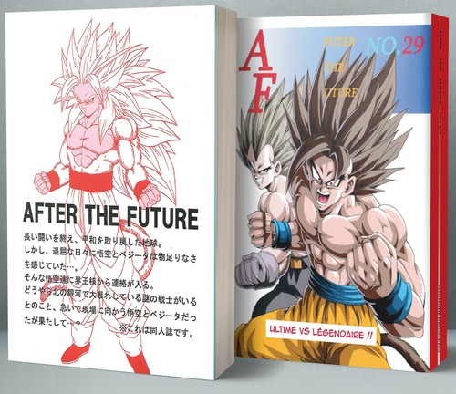 Dragon ball after - af, the
