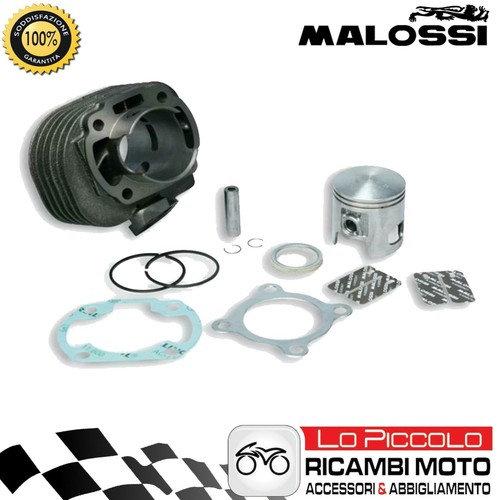 Groupe thermique malossi 70cc - groupe,