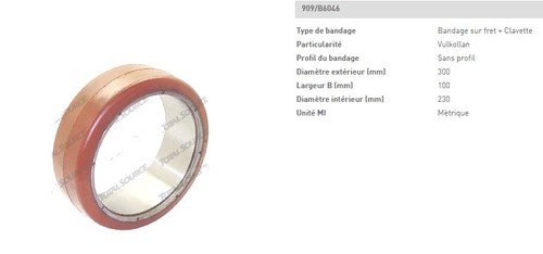 Roue motrice 300 230 100 - 300,